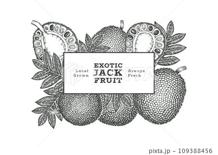 Hand drawn sketch style jackfruit banner. Organic fresh fruit vector illustration. Retro breadfruit design template Hand drawn sketch style jackfruit banner. Organic fresh fruit vector illustration. Retro breadfruit design template 109388456