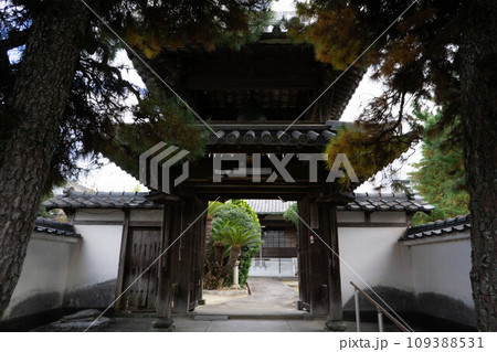 中津市　本傳寺 109388531