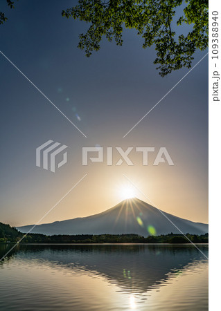 【静岡県】田貫湖から見る富士山と朝日 ダイヤモンド富士 【静岡県】田貫湖から見る富士山と朝日 ダイヤモンド富士 109388940
