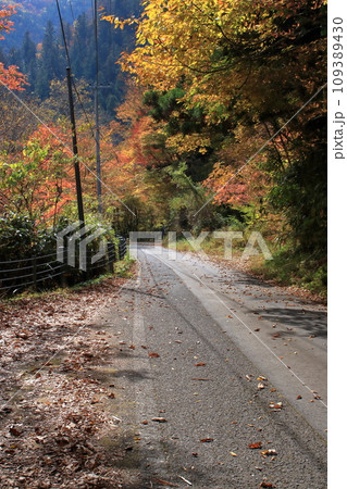 渓谷沿いの道路を走る 小田深山渓谷 (愛媛県) 渓谷沿いの道路を走る 小田深山渓谷 (愛媛県) 109389430