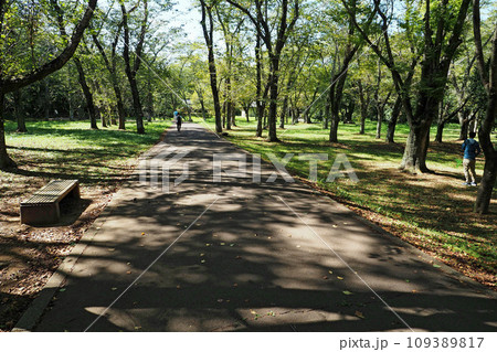 佐倉城址公園の三の丸跡【千葉県佐倉市】 佐倉城址公園の三の丸跡【千葉県佐倉市】 109389817
