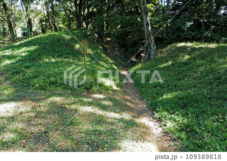 佐倉城址公園の浅間坂【千葉県佐倉市】 109389818