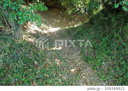 佐倉城址公園【千葉県佐倉市】 109389821