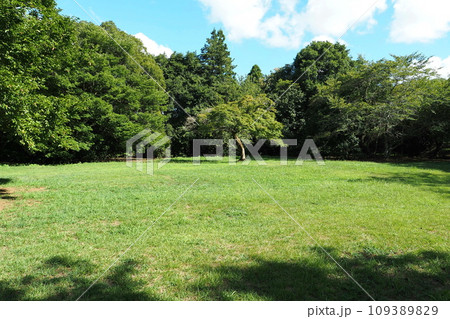 佐倉城址公園の二の丸跡【千葉県佐倉市】 佐倉城址公園の二の丸跡【千葉県佐倉市】 109389829