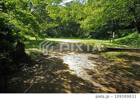 佐倉城址公園の本丸跡【千葉県佐倉市】 109389831