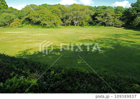 佐倉城址公園の本丸跡全景【千葉県佐倉市】 佐倉城址公園の本丸跡全景【千葉県佐倉市】 109389837