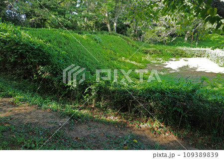 佐倉城址公園の本丸跡の天守台跡【千葉県佐倉市】 佐倉城址公園の本丸跡の天守台跡【千葉県佐倉市】 109389839