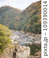 日本観光　紅葉 109390014