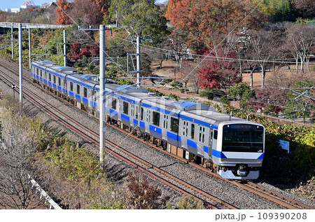 常磐線　赤塚ー偕楽園　JR東日本　E531系　K453編成（勝田） 109390208