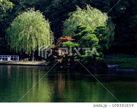 徳川園池泉回遊式庭園散策　西湖堤 109391659
