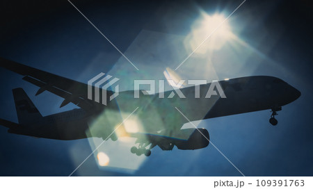 太陽を背に飛ぶ飛行機 109391763