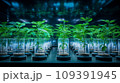 Agricultural biotechnology in action with rows of plants in hydroponic systems, thriving under blue grow lights in a dark, controlled indoor environment for optimal growth. 109391945