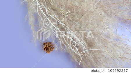 クリスマスカード（紫） 109392857