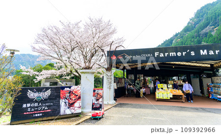 桜咲く季節 道の駅 水辺の郷おおやま 桜の木と店舗風景 (大分県日田市大山町) 桜咲く季節 道の駅 水辺の郷おおやま 桜の木と店舗風景 (大分県日田市大山町) 109392966