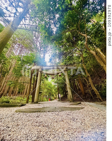 鳥居と清流にパワーを感じる猿田彦三河神社 109392978