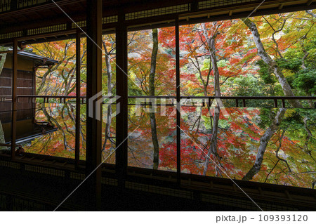 秋の京都嵐山 嵐山祐斎亭の紅葉のリフレクション 秋の京都嵐山 嵐山祐斎亭の紅葉のリフレクション 109393120