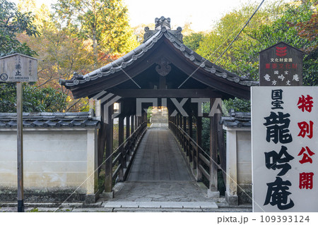 秋の京都東山 東福寺 偃月橋 秋の京都東山 東福寺 偃月橋 109393124