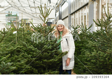 A woman buying a Christmas norman tree in a shop 109393164