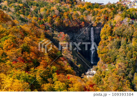 【栃木県】秋の紅葉と華厳の滝(10月) 【栃木県】秋の紅葉と華厳の滝(10月) 109393384