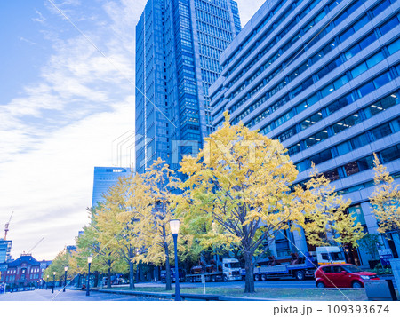 （東京）丸の内・行幸通りのビル群とイチョウ並木 109393674