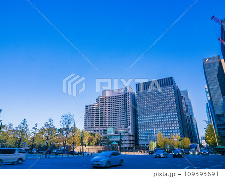 （東京）丸の内・行幸通りのビル群とイチョウ並木 109393691