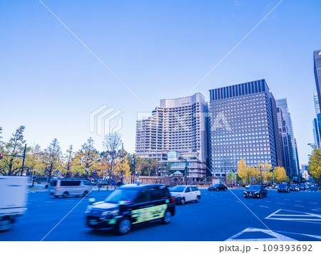 （東京）丸の内・行幸通りのビル群とイチョウ並木 109393692