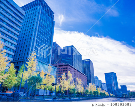 （東京）丸の内・行幸通りのビル群とイチョウ並木 109393695