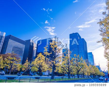 (東京)丸の内・行幸通りのビル群とイチョウ並木 (東京)丸の内・行幸通りのビル群とイチョウ並木 109393699