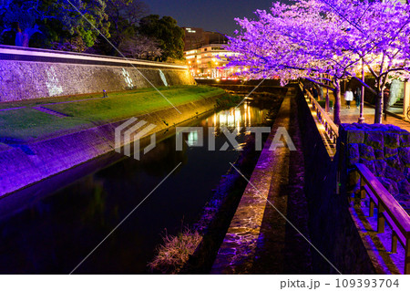 坪井川と桜の木 桜咲く季節 熊本城ライトアップ風景(熊本市) 坪井川と桜の木 桜咲く季節 熊本城ライトアップ風景(熊本市) 109393704