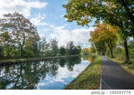 Autumn Serenity: Canal-side Pathway 109393779