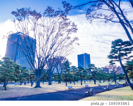 （東京）秋の皇居外苑 109393861