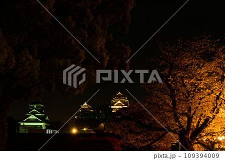 桜咲く季節　熊本城ライトアップ風景(熊本市) 109394009
