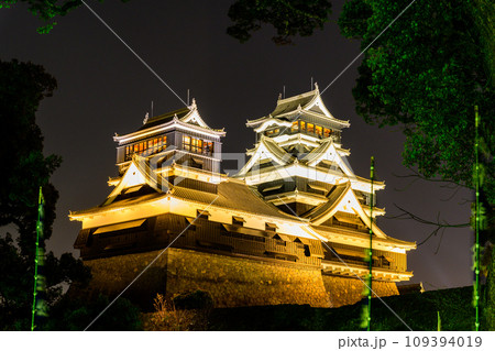 桜咲く季節　熊本城ライトアップ風景(熊本市) 109394019