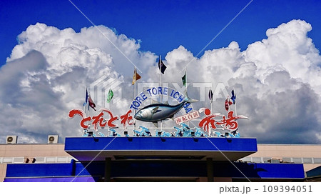 南紀白浜 とれとれ市場 109394051