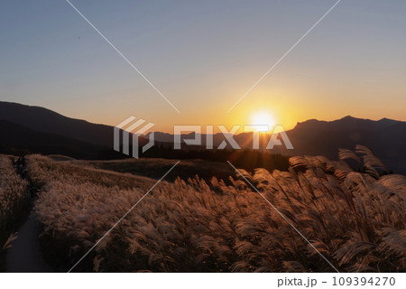奈良県曽根村　ススキの高原に夕陽が沈む　ドラマチックな風景 109394270