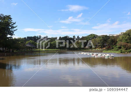 千葉市民の憩いの園 千葉公園・綿打池 109394447