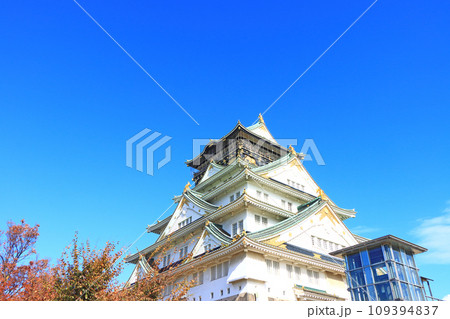 大阪府大阪市、大阪城の風景 大阪府大阪市、大阪城の風景 109394837