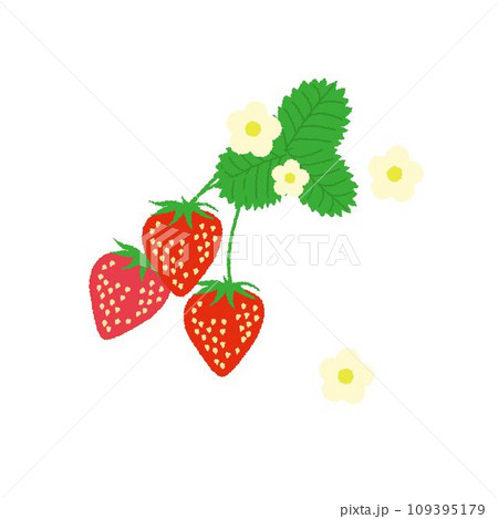 3粒の苺のイラスト 109395179