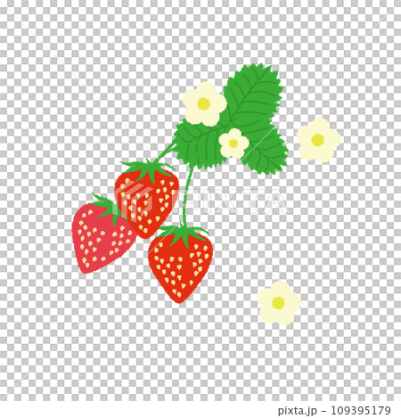 3粒の苺のイラスト 109395179