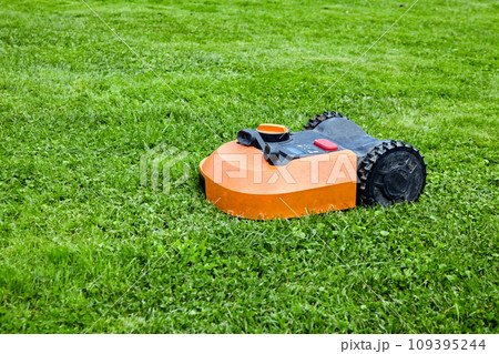 Robot lawn mower cuts green grass on the lawn Robot lawn mower cuts green grass on the lawn 109395244