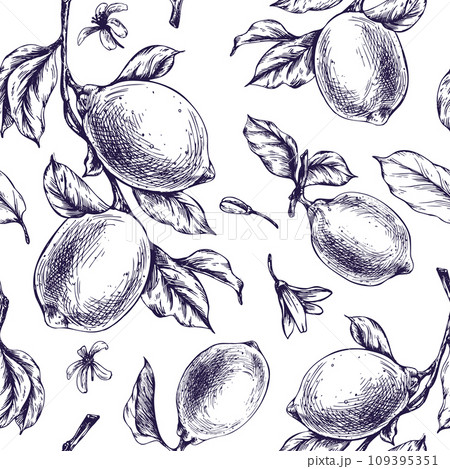 Lemons juicy, ripe with leaves, flower buds on the branches, whole and slices. Graphic botanical illustration hand drawn in blue ink. Seamless pattern EPS vector 109395351