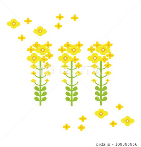 3本の菜の花のイラスト 109395956