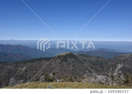 南国の樹氷 109396337