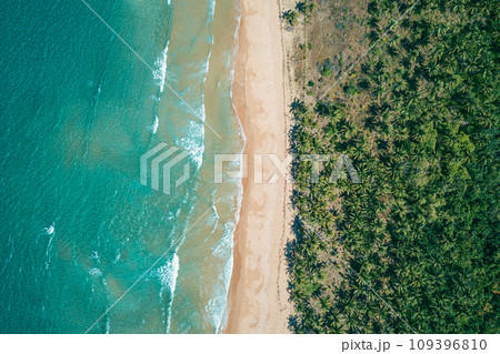 Aerial view to tropical sandy beach and blue ocean. Top view of ocean waves reaching shore on sunny day. Palawan, Philippines. 109396810
