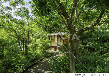 小布施　日本のあかり博物館　長野県小布施町 109397046