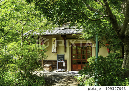 小布施　日本のあかり博物館　長野県小布施町 109397048