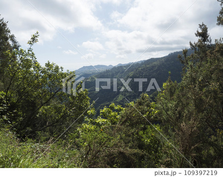 View of valley with green mountains and tropical plants from Levada Do Rei PR18 hike, from Sao Jorge ending at the source in Ribeiro Bonito, Madeira, Portugal View of valley with green mountains and tropical plants from Levada Do Rei PR18 hike, from Sao Jorge ending at the source in Ribeiro Bonito, Madeira, Portugal 109397219