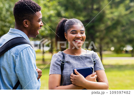 afro american friends sharing knowledge in the university campus at sunny day outdoors in park 109397482