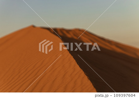 A dune landscape in the Rub al Khali or Empty Quarter at golden sunset time and nobody around 109397604