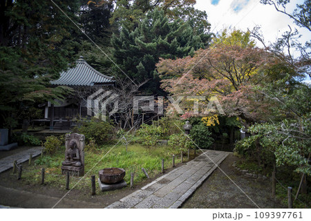 鎌倉11月 安国論寺17 鎌倉11月 安国論寺17 109397761